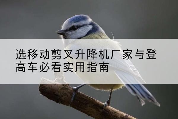 龙文电动升降机厂家-选移动剪叉升降机厂家与登高车必看实用指南