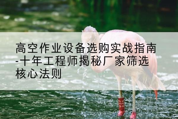 龙文剪叉式升降机厂家-高空作业设备选购实战指南-十年工程师揭秘厂家筛选核心法则