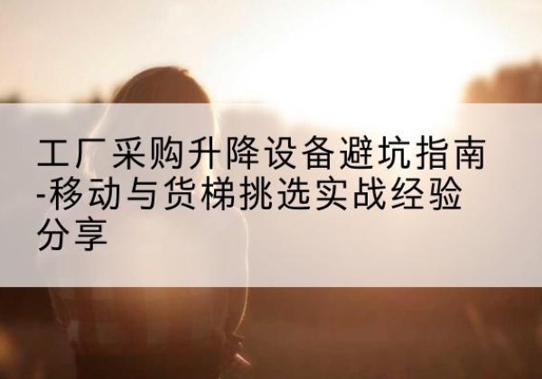 龙文移动式升降机怎么选-工厂采购升降设备避坑指南-移动与货梯挑选实战经验分享