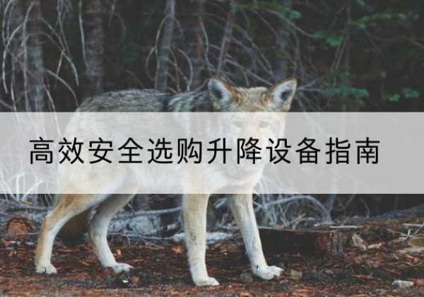 龙文升降货梯厂家推荐-*安全选购升降设备指南