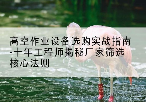 龙文剪叉式升降机厂家-高空作业设备选购实战指南-十年工程师揭秘厂家筛选核心法则